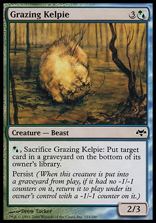 【JPN】《食草凱爾比/Grazing Kelpie》[暮光]