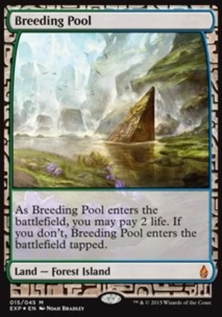 【ENG】 ☆Foil☆ 《滋生之池/Breeding Pool》[贊迪卡遠探]