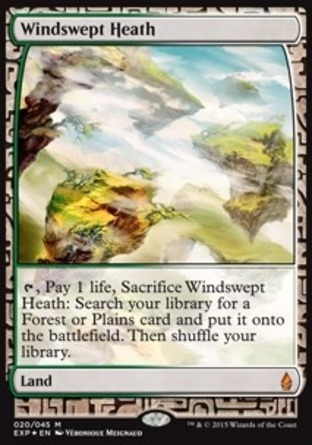 【ENG】《風襲荒地/Windswept Heath》[贊迪卡遠探]