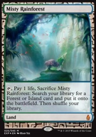 【ENG】《霧漫雨林/Misty Rainforest》[贊迪卡遠探]
