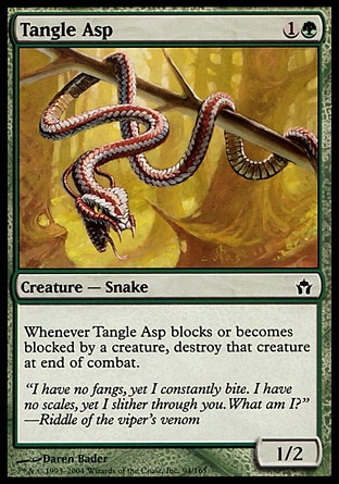 【JPN】《鉻銅林角奎/Tangle Asp》[五色曙光]