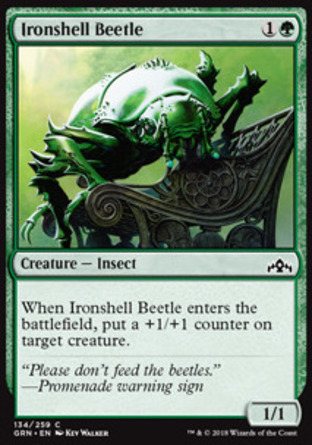 【JPN】《鐵殼甲蟲/Ironshell Beetle》[烽會拉尼卡]