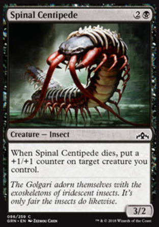 【JPN】《脊椎百足蟲/Spinal Centipede》[烽會拉尼卡]