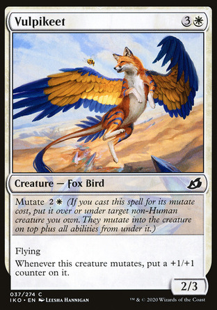 【JPN】《狐身鸚鵡/Vulpikeet》[依克黎：巨獸時空]