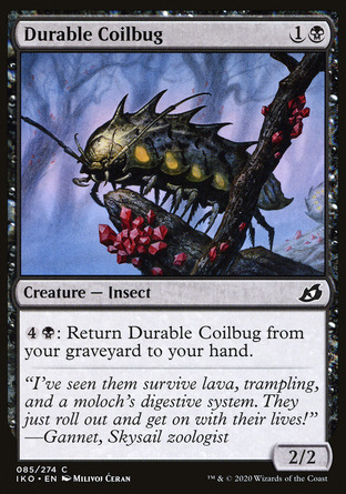 【JPN】《硬殼蜷曲蟲/Durable Coilbug》[依克黎：巨獸時空]