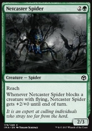 【JPN】《撒網蜘蛛/Netcaster Spider》[精英大師]