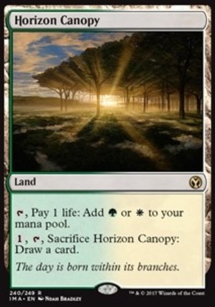 【JPN】《遍野林冠/Horizon Canopy》[精英大師]