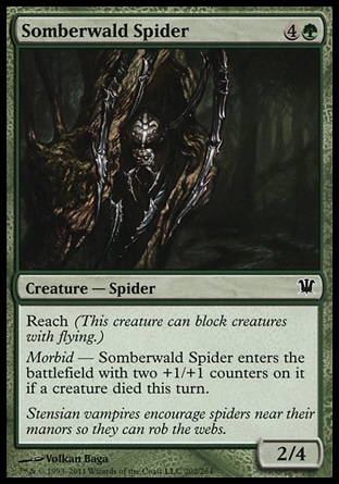 【JPN】《松柏森蜘蛛/Somberwald Spider》[依尼翠]