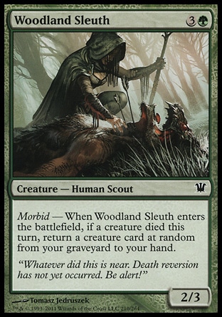 【JPN】《林地偵員/Woodland Sleuth》[依尼翠]