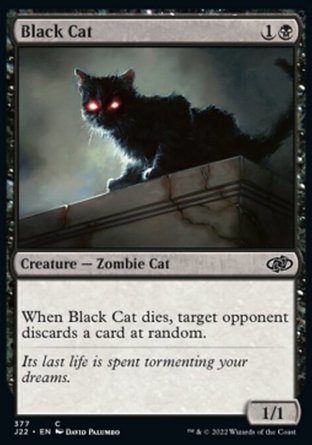 【ENG】《黑貓/Black Cat》[速戰2022]