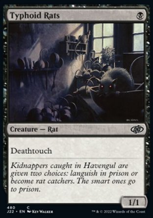 【ENG】《傷寒鼠/Typhoid Rats》[速戰2022]