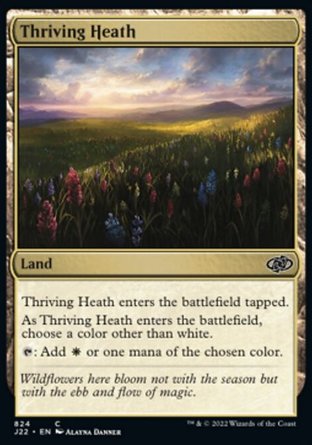 【ENG】《強旺荒地/Thriving Heath》[速戰2022]