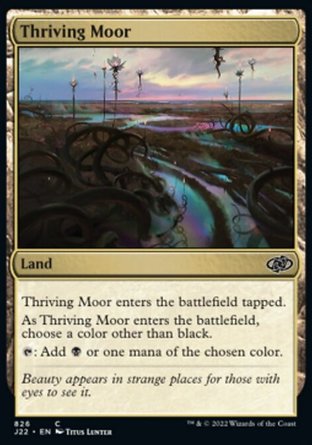 【ENG】《強旺溼地/Thriving Moor》[速戰2022]