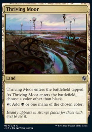 【ENG】《強旺溼地/Thriving Moor》[速戰]