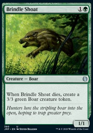 【ENG】《斑小豬/Brindle Shoat》[Jumpstart]
