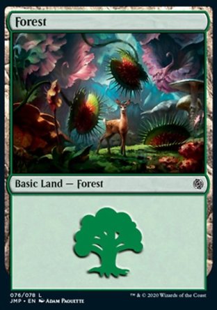 【ENG】《樹林/Forest》[Jumpstart]