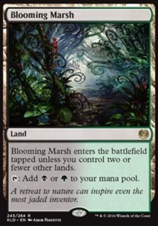 【JPN】《花開沼地/Blooming Marsh》[卡拉德許]