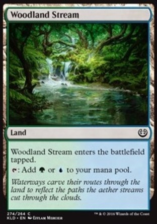 【JPN】《林地溪流/Woodland Stream》[卡拉德許]