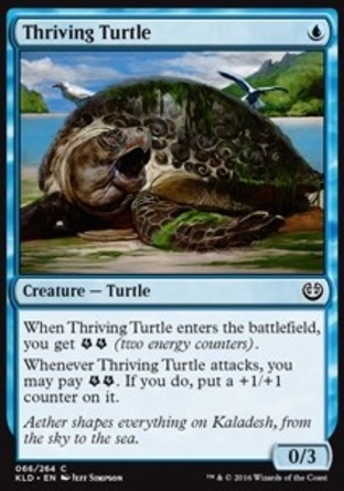 【JPN】《強旺龜/Thriving Turtle》[卡拉德許]