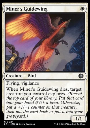 【ENG】《礦工嚮導鳥/Miner's Guidewing》[依夏蘭迷窟]