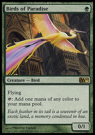 【JPN】《天堂鳥/Birds of Paradise》[核心系列2010]〔SP〕
