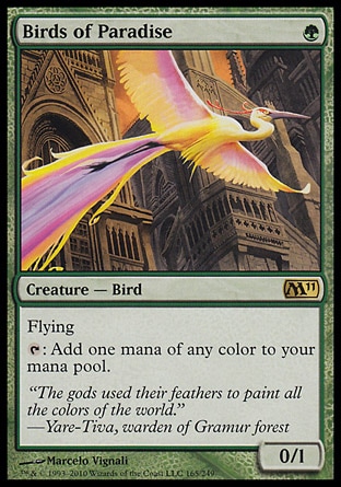 【JPN】《天堂鳥/Birds of Paradise》[核心系列2011]