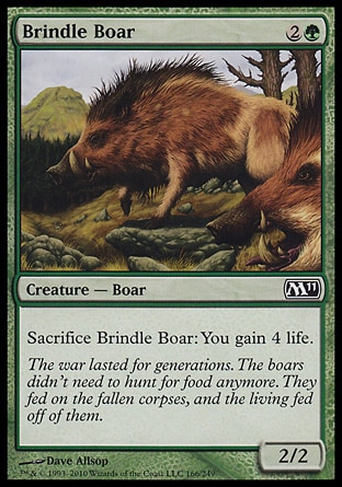 【JPN】《斑野豬/Brindle Boar》[核心系列2011]