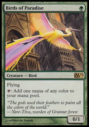 【JPN】《天堂鳥/Birds of Paradise》[核心系列2012]