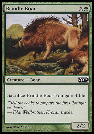 【JPN】《斑野豬/Brindle Boar》[核心系列2012]