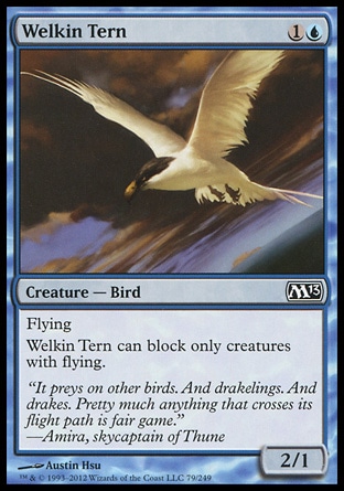 【JPN】《蒼穹飛燕/Welkin Tern》[核心系列2013]