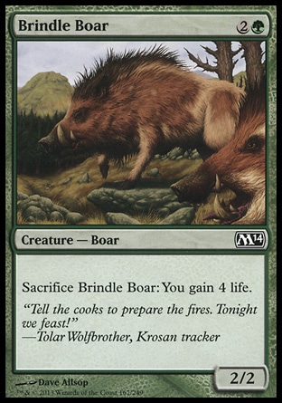 【JPN】《斑野豬/Brindle Boar》[核心系列2014]