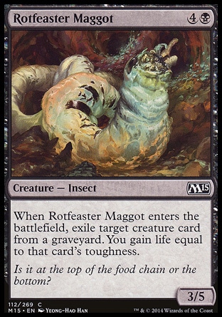 【JPN】《餮腐蛆/Rotfeaster Maggot》[核心系列2015]