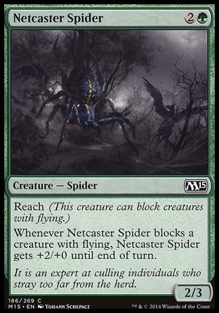 【JPN】《撒網蜘蛛/Netcaster Spider》[核心系列2015]