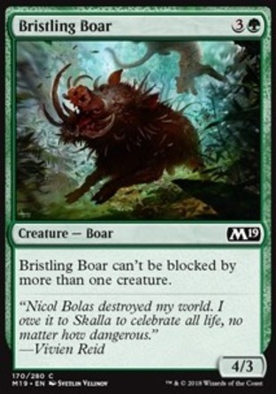 【JPN】《鬃毛野豬/Bristling Boar》[核心系列2019]