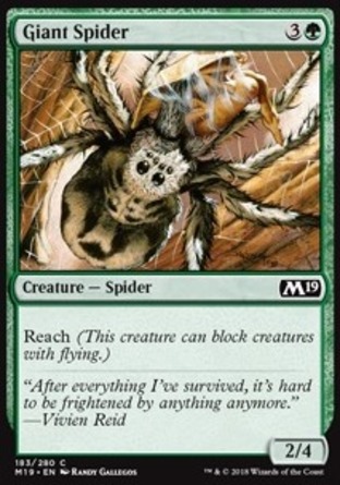 【JPN】《巨型蜘蛛/Giant Spider》[核心系列2019]