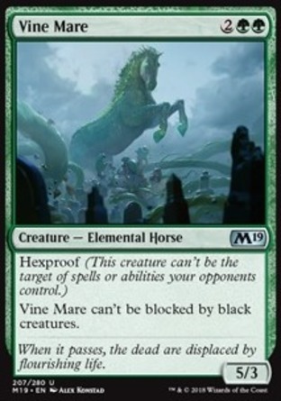 【JPN】《藤蔓牝馬/Vine Mare》[核心系列2019]