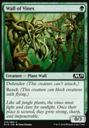 【JPN】《藤蔓牆/Wall of Vines》[核心系列2019]