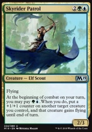 【JPN】《馭空巡偵員/Skyrider Patrol》[核心系列2019]
