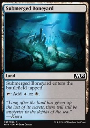 【JPN】《水下聚骨場/Submerged Boneyard》[核心系列2019]