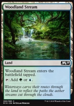 【JPN】《林地溪流/Woodland Stream》[核心系列2019]