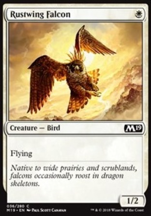 【JPN】《褐翼獵鷹/Rustwing Falcon》[核心系列2019]