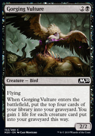 【JPN】《食屍兀鷹/Gorging Vulture》[核心系列2020]