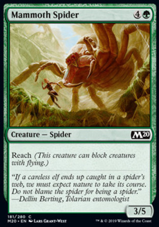 【JPN】《龐巨蜘蛛/Mammoth Spider》[核心系列2020]