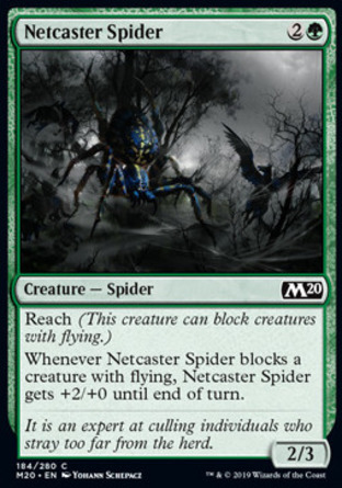 【JPN】《撒網蜘蛛/Netcaster Spider》[核心系列2020]