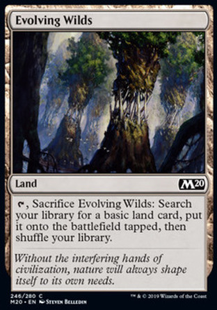 【JPN】《成形野地/Evolving Wilds》[核心系列2020]