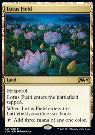 【JPN】《蓮花田野/Lotus Field》[核心系列2020]