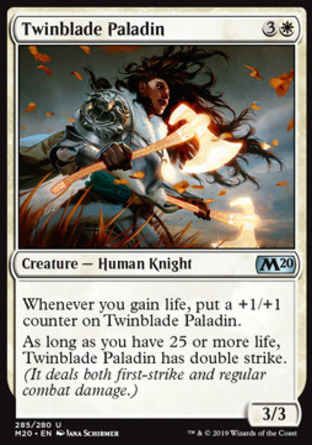 【JPN】《雙刃神聖武士/Twinblade Paladin》[核心系列2020]