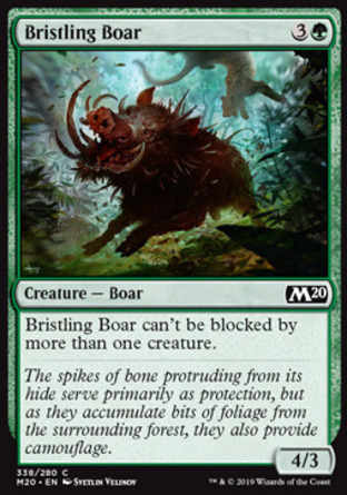 【JPN】《鬃毛野豬/Bristling Boar》[核心系列2020]