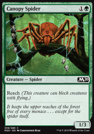 【ENG】《林冠蜘蛛/Canopy Spider》[核心系列2020]