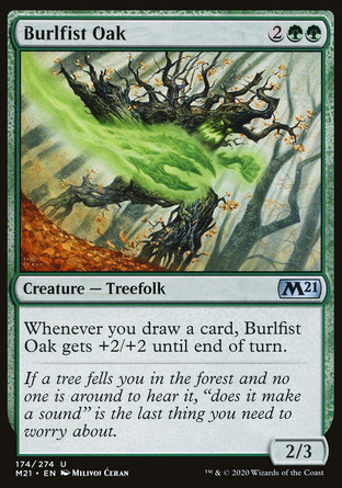 【JPN】《瘤拳橡樹/Burlfist Oak》[核心系列2021]